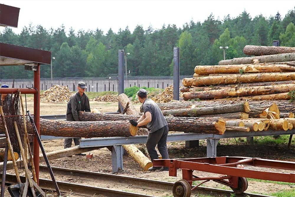 Wir fordern eine unabhängige Untersuchung des Greenwashings durch den FSC in Belarus